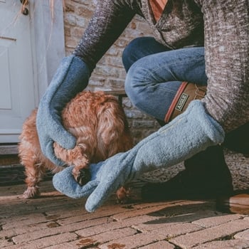 Mănuși pentru curățarea și uscarea labuțelor animalelor – absorbante, poliester, origine Zhejiang, utilizare generală