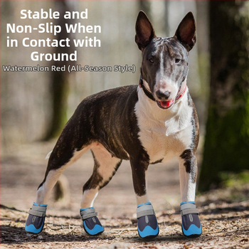 Turistické topánky pre psov – protišmykové, odolné, pre všetky ročné obdobia, štýl voľného času