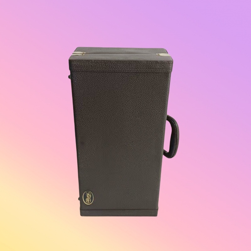 Kutija za saksofon, baršunasta unutrašnjost, dizajn u stilu klavira, dodatak za mosazne instrumente