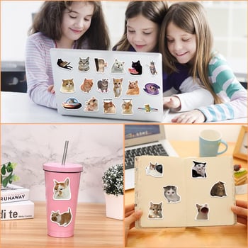 Set naljepnica: 50 crtani mačji grafiti naljepnica za ukrašavanje gitare, bilježnice i kovčega. Brand: Pick up music; Lijepiti: Da; Stil: Slatko; Izrada: Tisak.