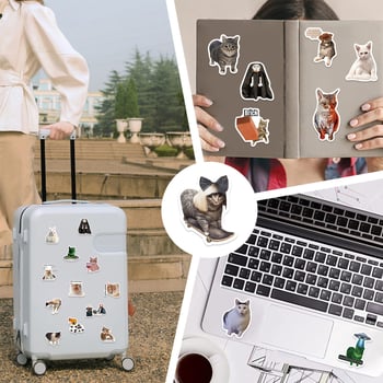 Set naljepnica: 50 crtani mačji grafiti naljepnica za ukrašavanje gitare, bilježnice i kovčega. Brand: Pick up music; Lijepiti: Da; Stil: Slatko; Izrada: Tisak.