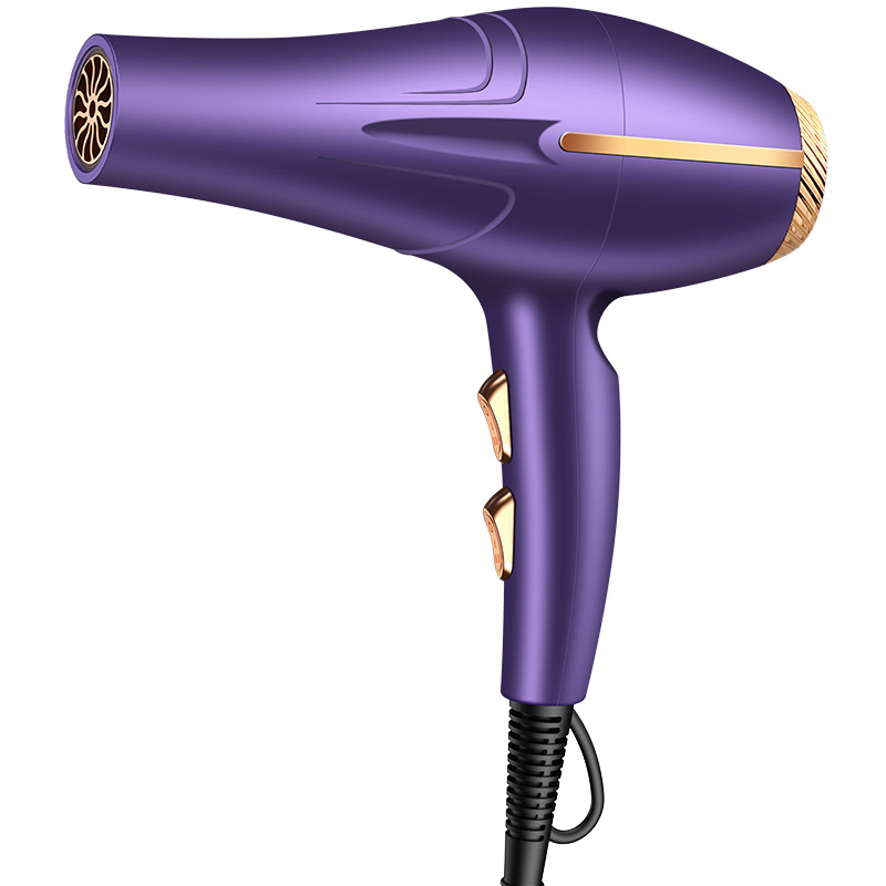 Uscător de păr pentru salon, 1200W, 220V, motor cu perii, lumină albastră, aer cald și rece