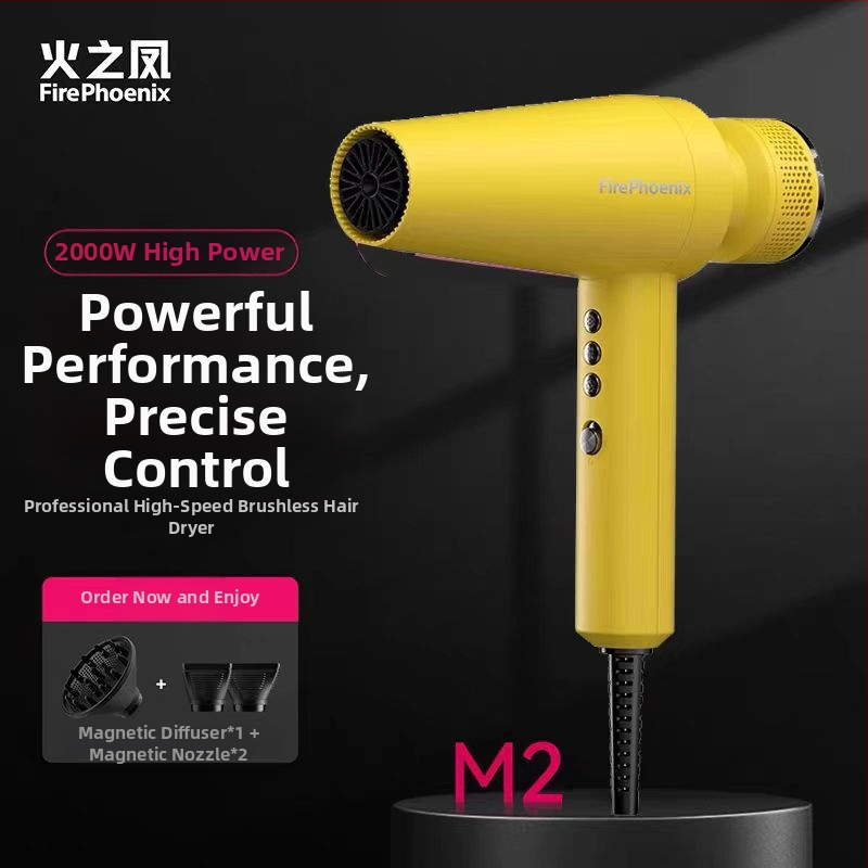 Fire Phoenix profesionálny sušič vlasov pre salón s bezkartáčovým motorom, 2000W, 220V, riadenie teploty studený/horúci, negatívne ióny