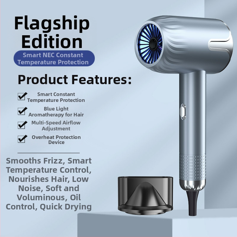 Fén na vlasy LD-1201, 1200 W kefový motor, horúci vzduch, 3 rýchlosti, 220V