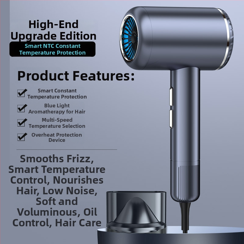 Fén na vlasy LD-1201, 1200 W kefový motor, horúci vzduch, 3 rýchlosti, 220V