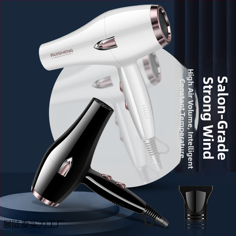 Sušič vlasov s kefovým motorom, 5000W, horúci/studený vzduch, 220V, modré svetlo s negatívnymi iónmi
