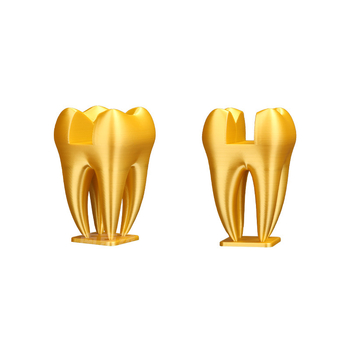 Suport pentru cărți de vizită în formă de dinte pentru cabinet stomatologic — Nothing, PLA, Model 010301002, Personalizabil