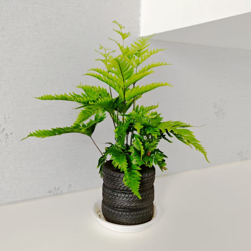 Okrugli plastični držač olovaka i stolni organizator – model Ltbt201126, pogodan kao poklon za rođendane, diplome i druge prilike