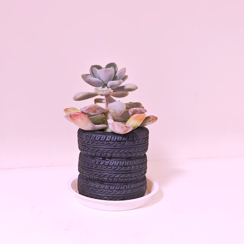 Okrugli plastični držač olovaka i stolni organizator – model Ltbt201126, pogodan kao poklon za rođendane, diplome i druge prilike