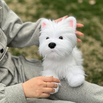 Λούτρινο κουκλάκι σκύλου, προσαρμόσιμο σύμφωνα με τα σκίτσα, γέμισμα PP βαμβάκι, συσκευασία με δίχτυ, για ηλικίες 14+