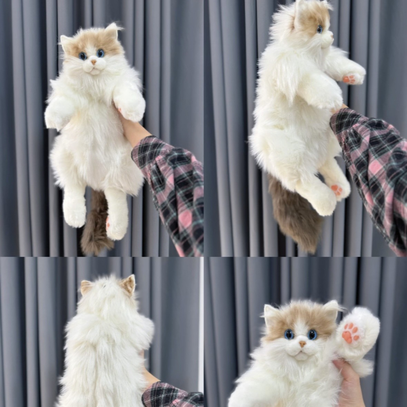 Γατούλα plush με θήκη πλάτης, στυλ ragdoll, γέμισμα PP βαμβάκι, κατάλληλη για ηλικίες 7–14