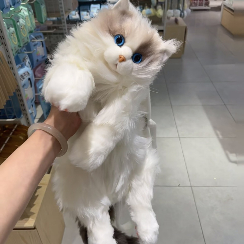 Γατούλα plush με θήκη πλάτης, στυλ ragdoll, γέμισμα PP βαμβάκι, κατάλληλη για ηλικίες 7–14