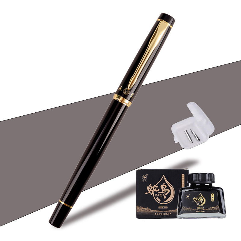 Umetničko pero s savijenim vrhom za kaligrafiju, zlatni nib, sustav patrona, model 01, QS1546511521