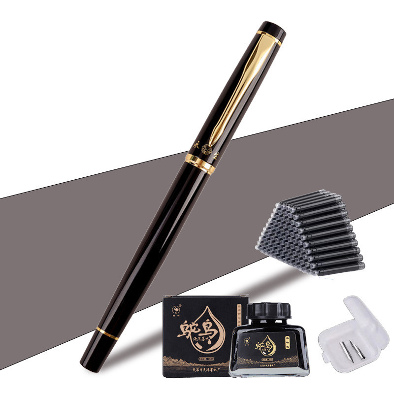 Umetničko pero s savijenim vrhom za kaligrafiju, zlatni nib, sustav patrona, model 01, QS1546511521
