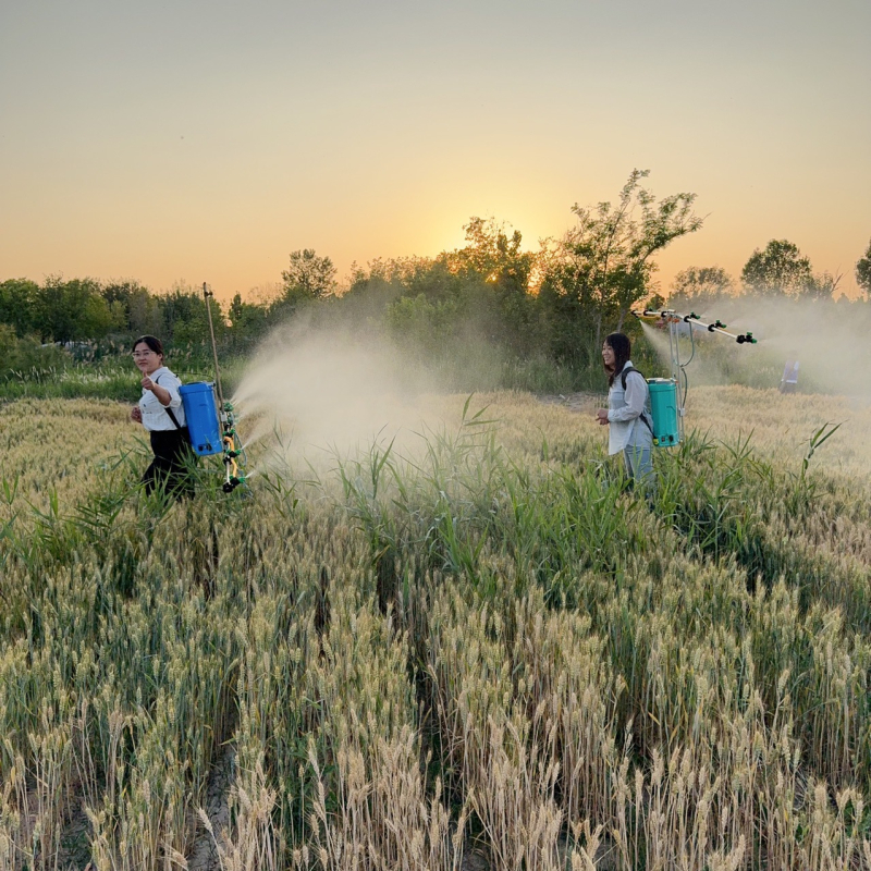 Ηλεκτρικός ψεκαστήρας πλάτης με πολλαπλά ακροφύσια, ρυθμιζόμενου ύψους και τηλεσκοπικού βραχίονα