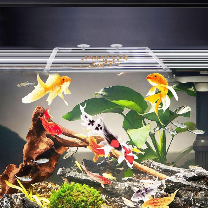 Τροφοδότης ψαριών για ενυδρείο, διαφανής, κυκλικός, ακρυλικός, με βεντούζα