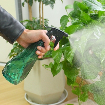 Boxin 600ml PET boca alkoholni sprej za dezinfekciju – ručni raspršivač za kućnu njegu i vrt