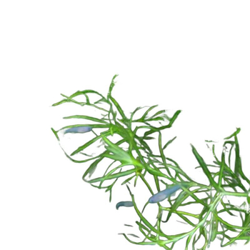 Filtru pentru acvariu — marca Shi Ya, neimportat, Echipament pentru acvarii