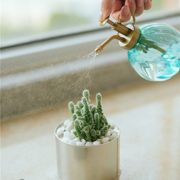 SUIMEI stropitoare din plastic cu pulverizator, pentru grădinărit de acasă, 300 ml