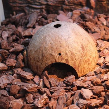 Natural coconut shell reptile cave hideout for lizards, geckos, spiders, snakes, scorpions, hamsters, centipedes and hermit crabs; material: coconut shell; purpose: reptile and small-pet habitat; imported: No