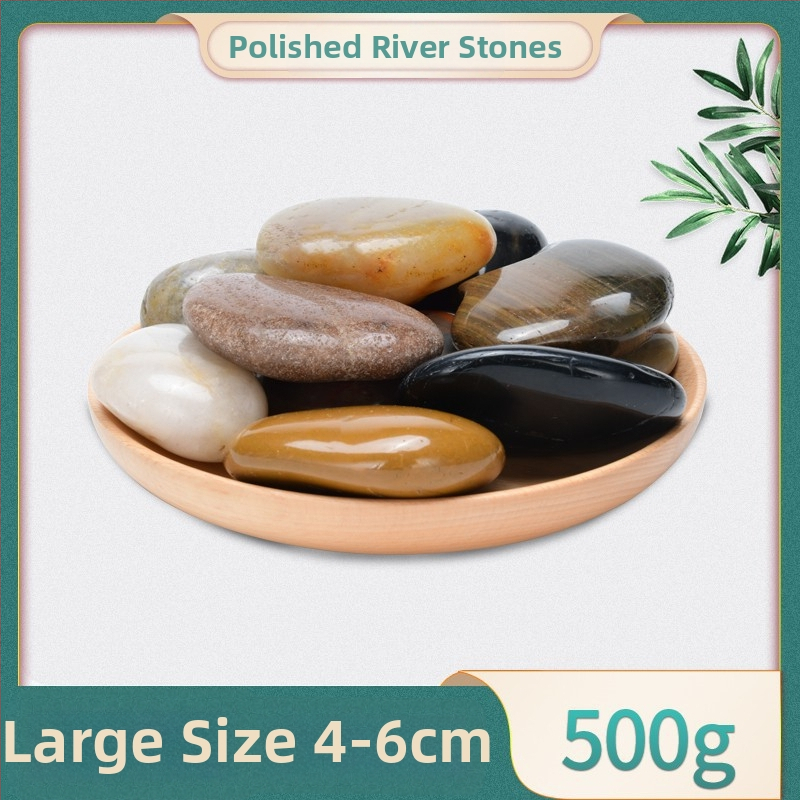 Dekoracija za akvarij s prirodnim kamenjem, Rain Flower kamenjem, šljunkom te sukulentnim biljkama u posudama