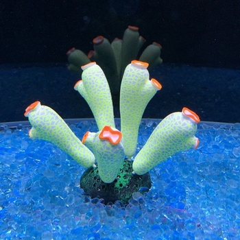 Szilikon akváriumi díszítő elemek vízi növényekhez