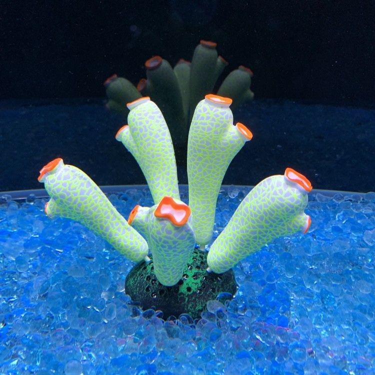 Szilikon akváriumi díszítő elemek vízi növényekhez