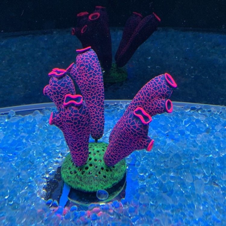 Szilikon akváriumi díszítő elemek vízi növényekhez