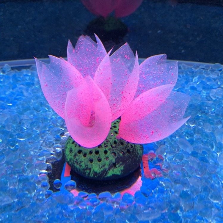 Szilikon akváriumi díszítő elemek vízi növényekhez