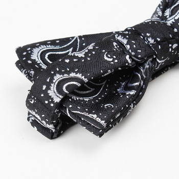 Ανδρικό Παπιγιόν: Πολυεστέρας, Cashew Μοντέλο, Flat-Head Στυλ, Unisex, Κορεατικό Στυλ