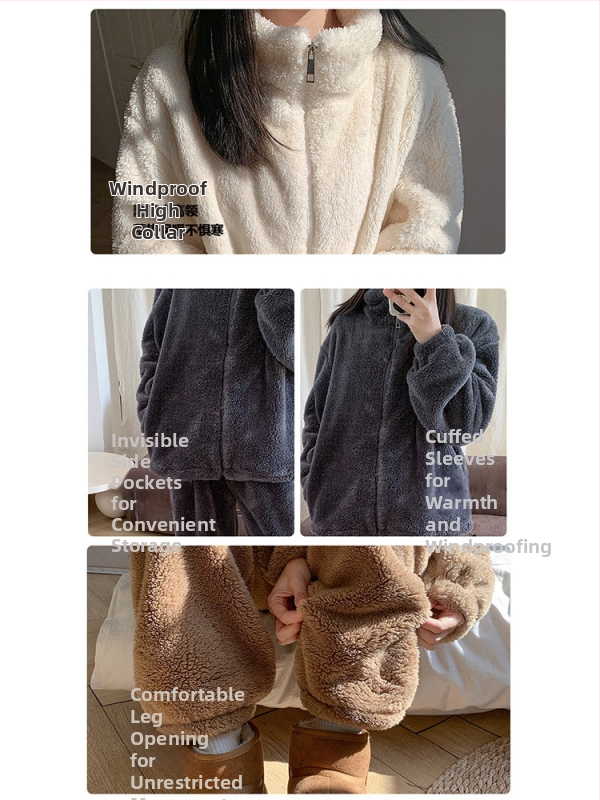 Set de pijamale pentru femei, două piese, cu căptușeală fleece, guler înalt, croială lejeră, stil coreean, țesătură velur dublu față, 95% poliester