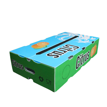 Cutie de transport pentru fructe și legume pentru distanțe lungi – plastic PE, respirabilă, dimensiuni interioare și exterioare personalizabile, încărcătură 20–120 kg