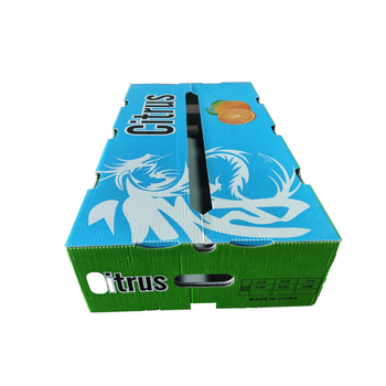 Cutie de transport pentru fructe și legume pentru distanțe lungi – plastic PE, respirabilă, dimensiuni interioare și exterioare personalizabile, încărcătură 20–120 kg