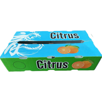 Cutie de transport pentru fructe și legume pentru distanțe lungi – plastic PE, respirabilă, dimensiuni interioare și exterioare personalizabile, încărcătură 20–120 kg