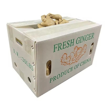 Cutie turnover PP cu panou gol pentru ghimbir și legume – Rezistență înaltă, Turnare prin injecție, Grosime perete 3 mm, Capacitate de încărcare 50 kg, Personalizabil