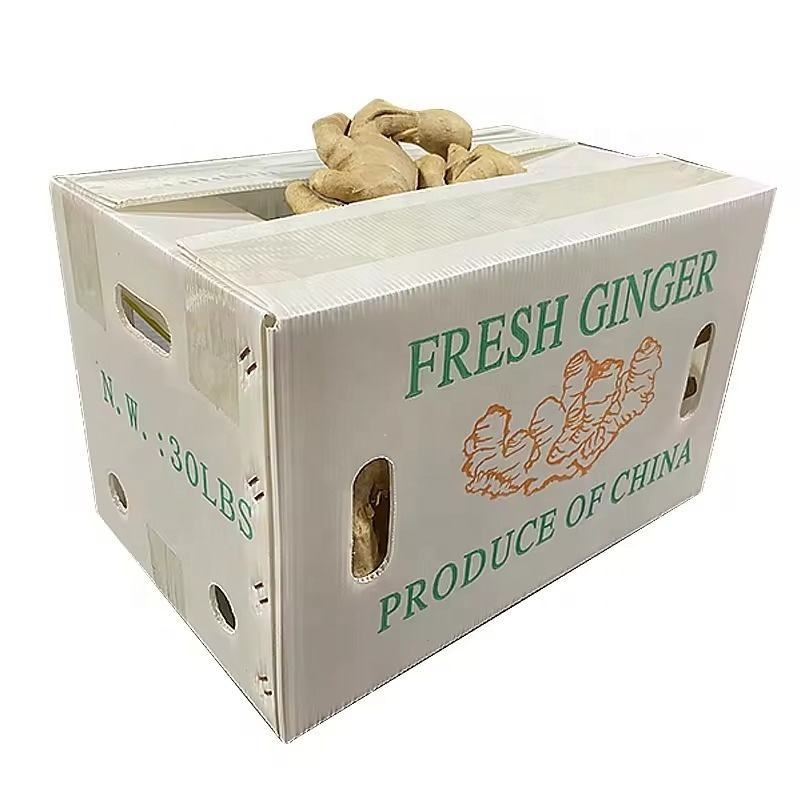 Cutie turnover PP cu panou gol pentru ghimbir și legume – Rezistență înaltă, Turnare prin injecție, Grosime perete 3 mm, Capacitate de încărcare 50 kg, Personalizabil