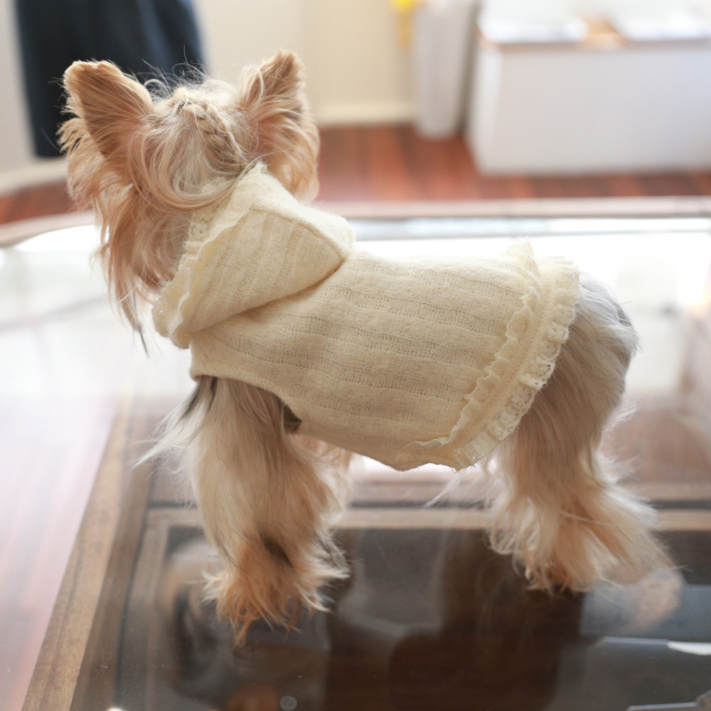 Bež hoodie s kapuljom za mačke i pse (Bichon Frisé, Yorkshire Terrier)