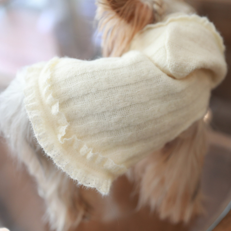Bež hoodie s kapuljom za mačke i pse (Bichon Frisé, Yorkshire Terrier)