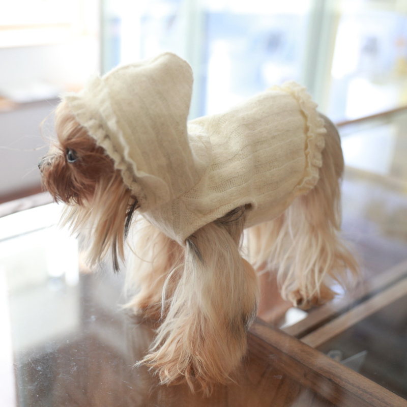Bež hoodie s kapuljom za mačke i pse (Bichon Frisé, Yorkshire Terrier)