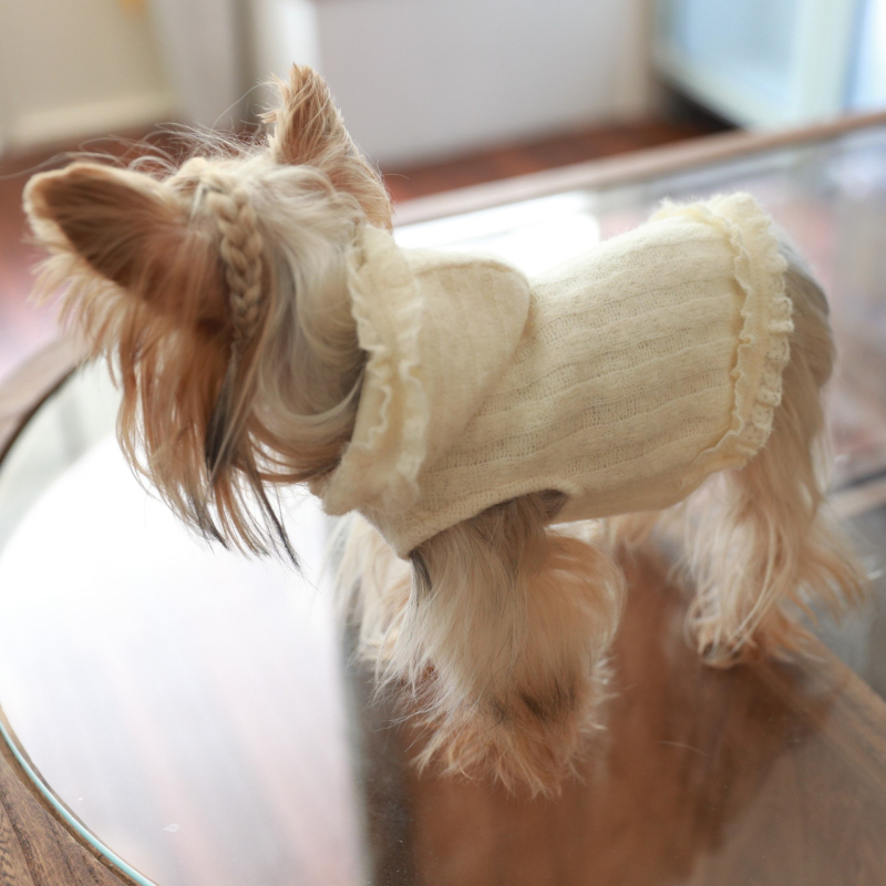 Bež hoodie s kapuljom za mačke i pse (Bichon Frisé, Yorkshire Terrier)