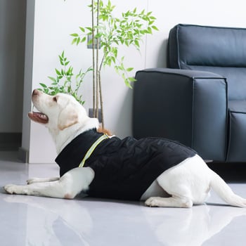 Gilet za kućne ljubimce – Smjesa materijala, Britanski stil, Lai chong duo, univerzalna prilagodba