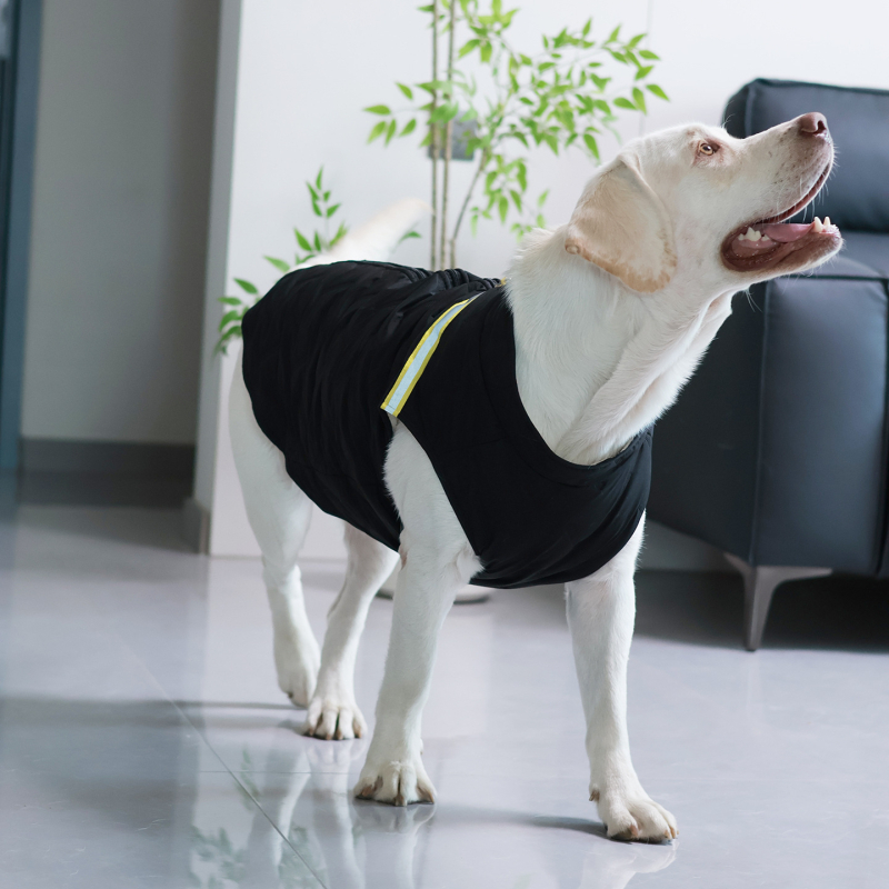 Gilet za kućne ljubimce – Smjesa materijala, Britanski stil, Lai chong duo, univerzalna prilagodba