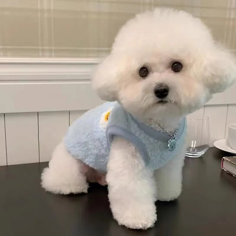 Jakna od ovčje vune za kućne ljubimce, fleec jakna za male pse i mačke, moderan minimalistički stil, porijeklo Zhejiang, brend Cute Pet Zone
