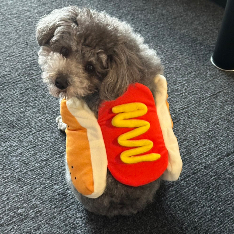 Pamuk kaput za pse, britanski stil, unisex, odjeća za kućne ljubimce