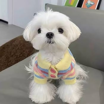 Pleteni džemper za kućne ljubimce za jesen/zimu, odjeća za male pasmine pasa i mačaka, primjerice Pomeranac, Bichon Frise i druge.