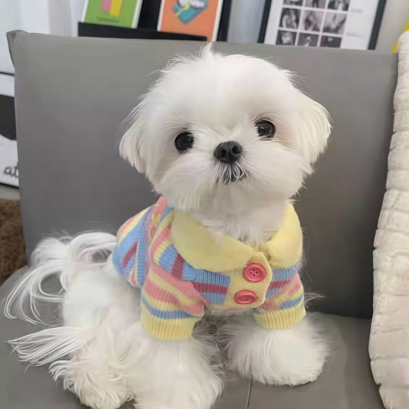 Pleteni džemper za kućne ljubimce za jesen/zimu, odjeća za male pasmine pasa i mačaka, primjerice Pomeranac, Bichon Frise i druge.