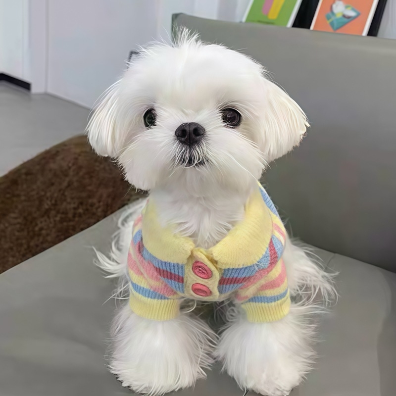 Pleteni džemper za kućne ljubimce za jesen/zimu, odjeća za male pasmine pasa i mačaka, primjerice Pomeranac, Bichon Frise i druge.