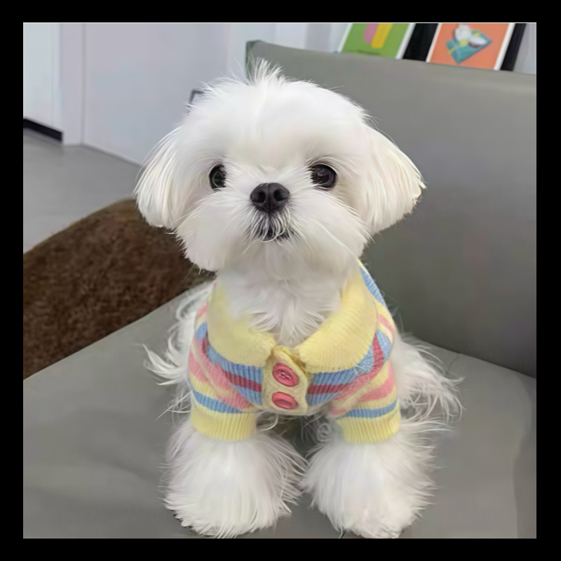 Pleteni džemper za kućne ljubimce za jesen/zimu, odjeća za male pasmine pasa i mačaka, primjerice Pomeranac, Bichon Frise i druge.