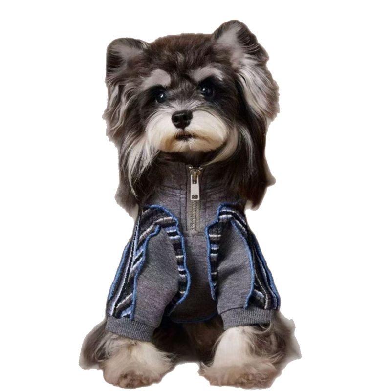 Jesenski sportski duks za pse s patchwork prugama