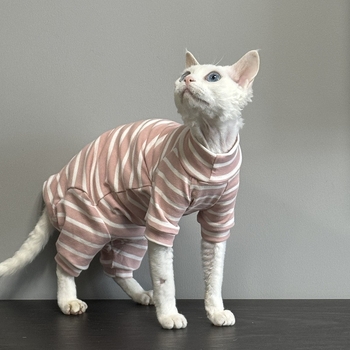 Îmbrăcăminte pentru pisici cu patru picioare — bumbac, stil Angliei, Panda brand